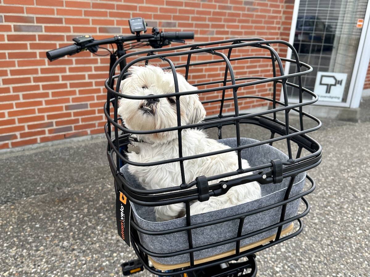 Medium Cykelkurv til Hund - Atran Velo 4 Medium Cykelkurv til Hund - Atran Velo - Billede 4