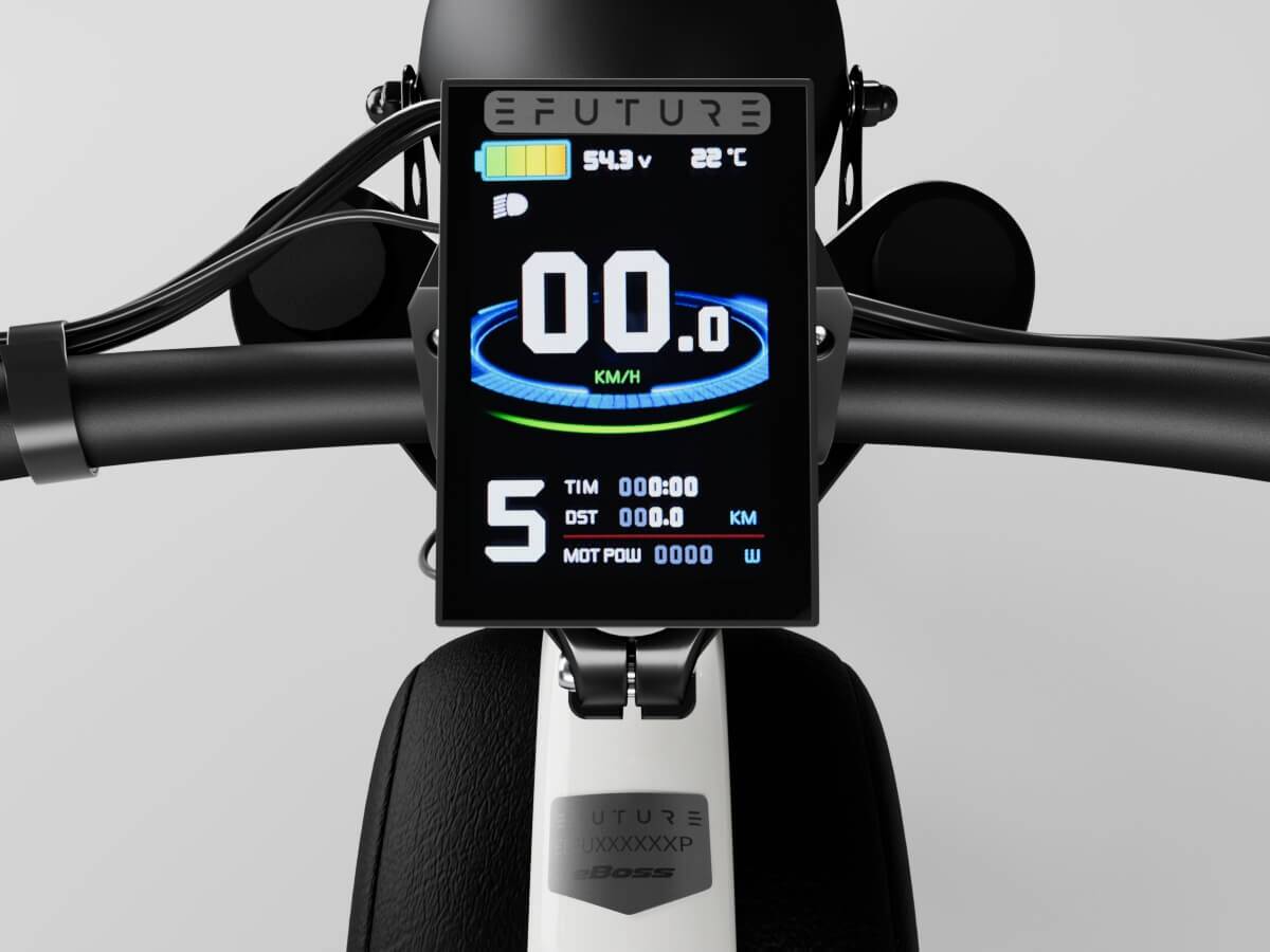 EFUTURE Farvedisplay 1 EFUTURE Farvedisplay